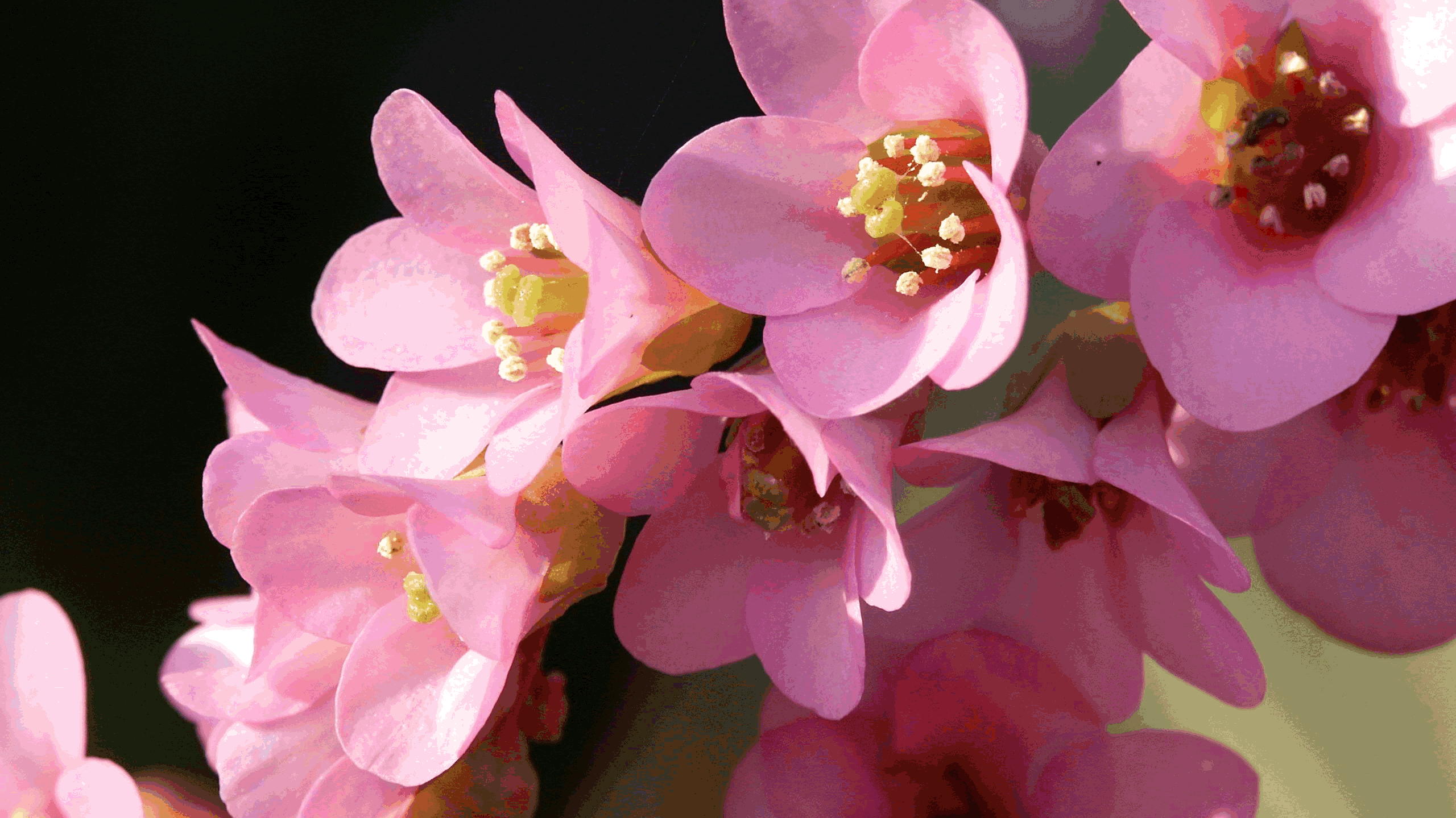 �q�}�������L�m�V�^